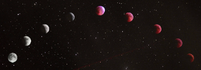 Курс Васту Шастра