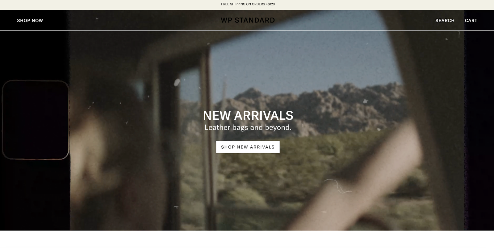 Домашня сторінка WP Standard із динамічним циклічним відео та копією НОВИХ НАДХОДЖЕНЬ.