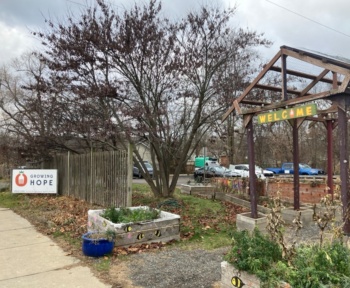 Хочете вирощувати власну їжу? У цій програмі Ypsilanti є все, що вам потрібно
