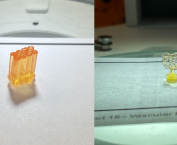 BioPrinter Auxilium Biotechnologies використовувався на борту МКС для друку медичних пристроїв