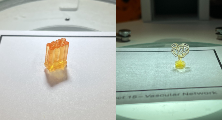 BioPrinter Auxilium Biotechnologies використовувався на борту МКС для друку медичних пристроїв