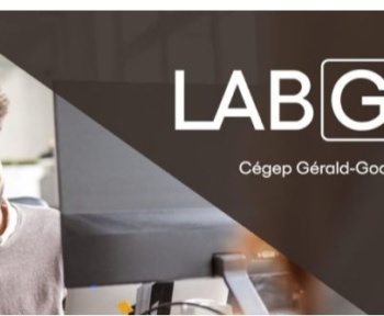 Labgo розгортає свою першу когорту веб -розробки