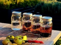 Програми для розвідки духу: додаток NY Distillery Trails