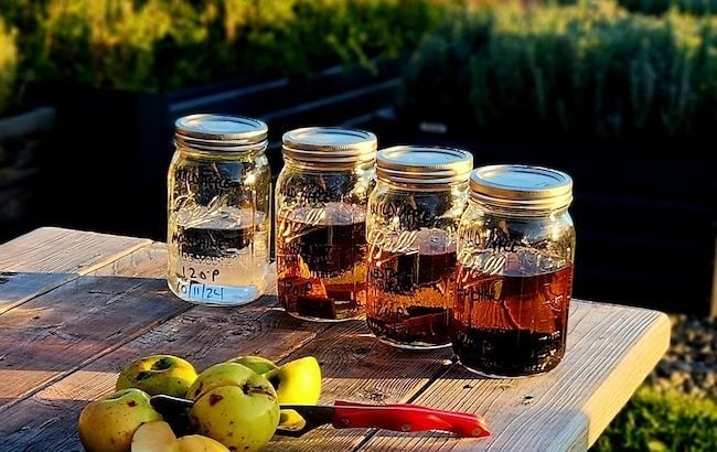 Програми для розвідки духу: додаток NY Distillery Trails
