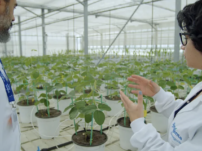 Syngenta набуває активів Novartis для зміцнення позиції в Ag Biologicals