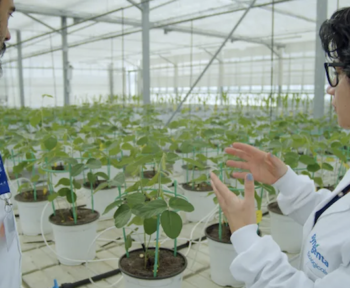 Syngenta набуває активів Novartis для зміцнення позиції в Ag Biologicals