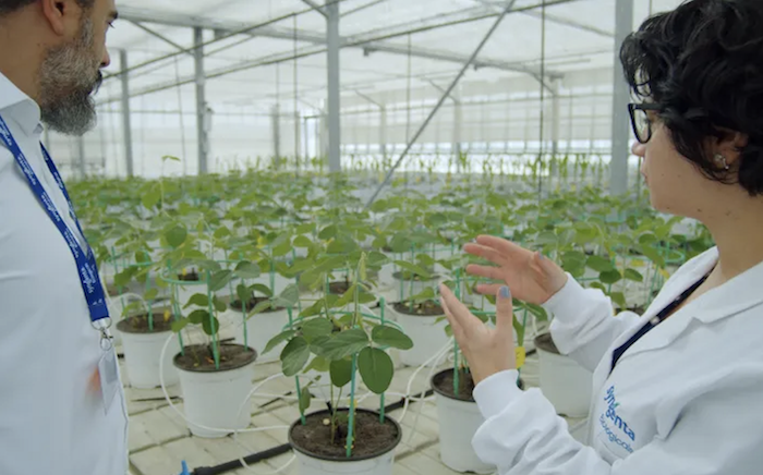 Syngenta набуває активів Novartis для зміцнення позиції в Ag Biologicals