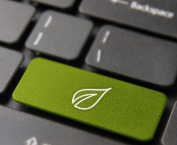 Як екологічні веб -навички можуть допомогти запустити кар’єру в Green Tech