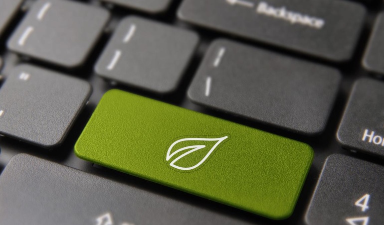 Як екологічні веб -навички можуть допомогти запустити кар’єру в Green Tech