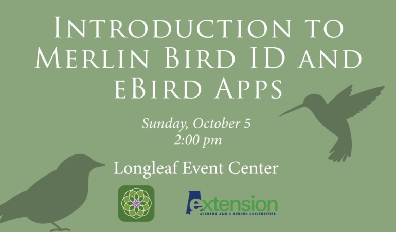 Вступ до програм ID Merlin Bird та Bird