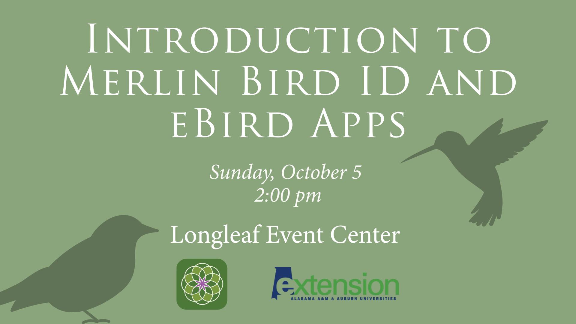 Вступ до програм ID Merlin Bird та Bird