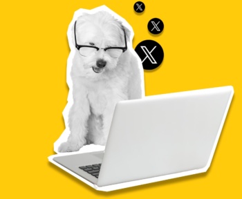 8 способів використовувати Grok AI для більшого охоплення