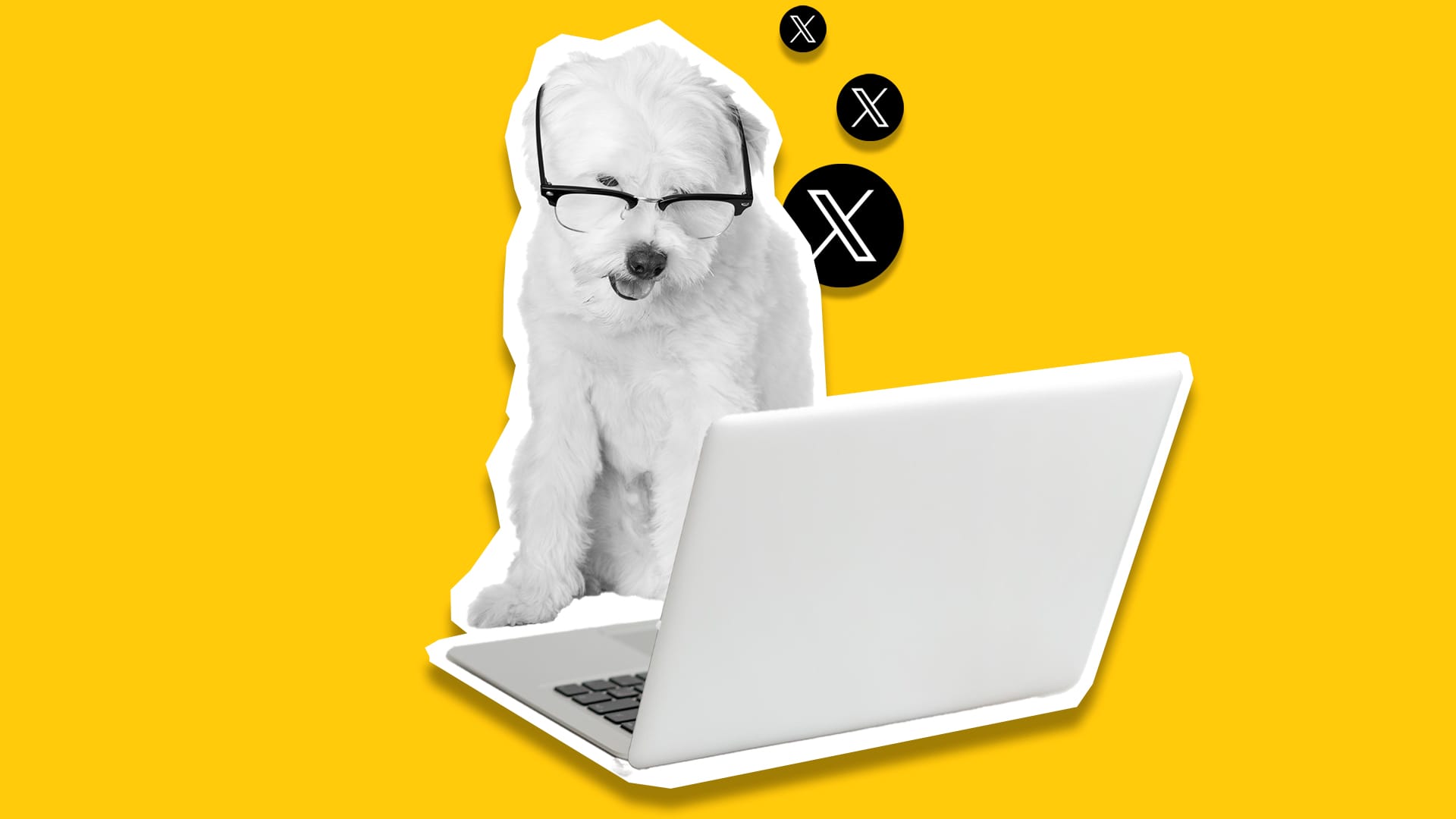 8 способів використовувати Grok AI для більшого охоплення