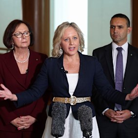 Прес-секретар опозиції у справах жінок Мелісса Макінтош.