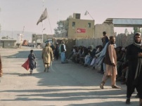 Ранковий дайджест: запущено два додатки для перепису, тестовий портал для самоперерахування; Пакистан, Афганістан обмінюються вогнем під час мирних переговорів у Стамбулі тощо