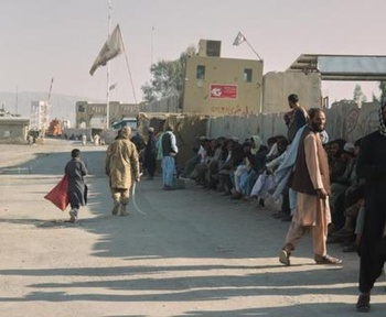 Ранковий дайджест: запущено два додатки для перепису, тестовий портал для самоперерахування; Пакистан, Афганістан обмінюються вогнем під час мирних переговорів у Стамбулі тощо