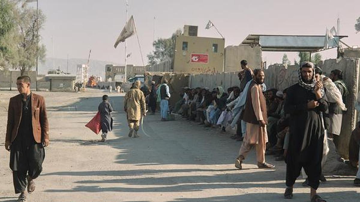 Ранковий дайджест: запущено два додатки для перепису, тестовий портал для самоперерахування; Пакистан, Афганістан обмінюються вогнем під час мирних переговорів у Стамбулі тощо